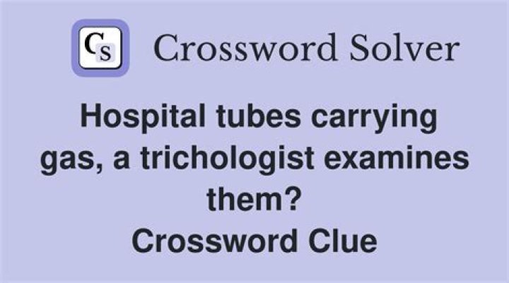 Hospital tube Crossword Clue