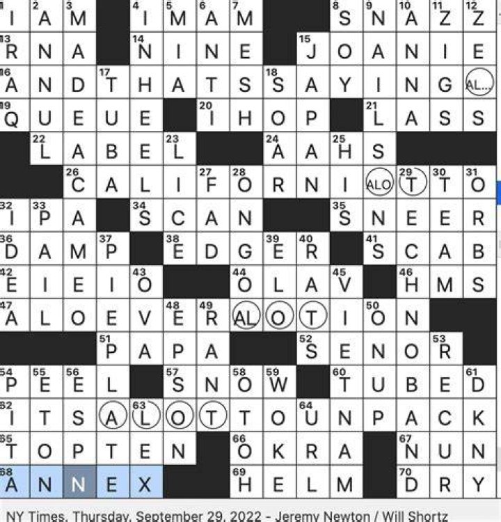 Many P.S.A.s … or the four circled squares in this grid? Crossword Clue