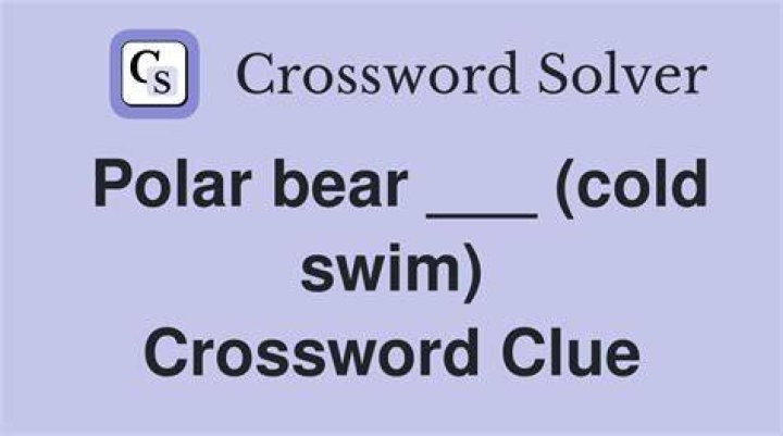 Quick swim in freezing cold water Crossword Clue