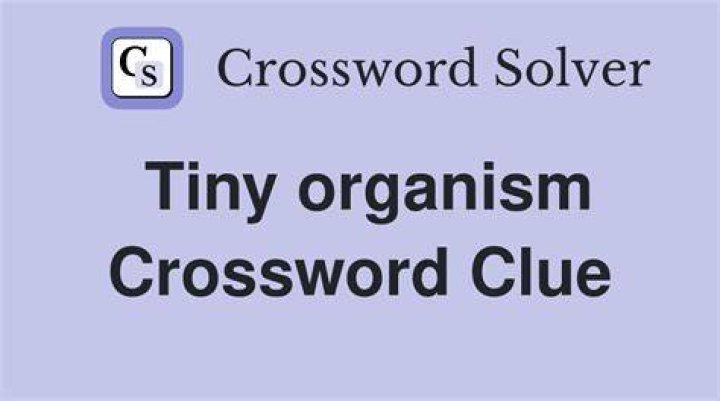Tiny organism Crossword Clue