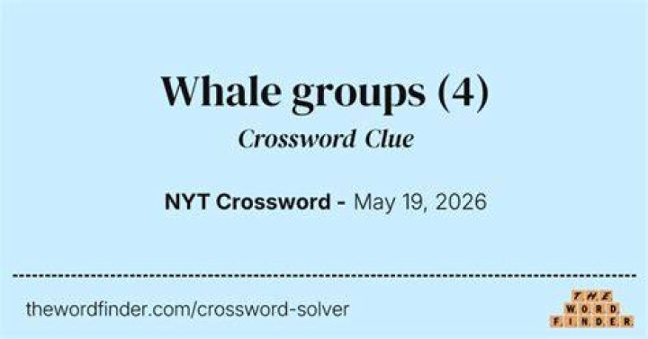 Whale groups Crossword Clue
